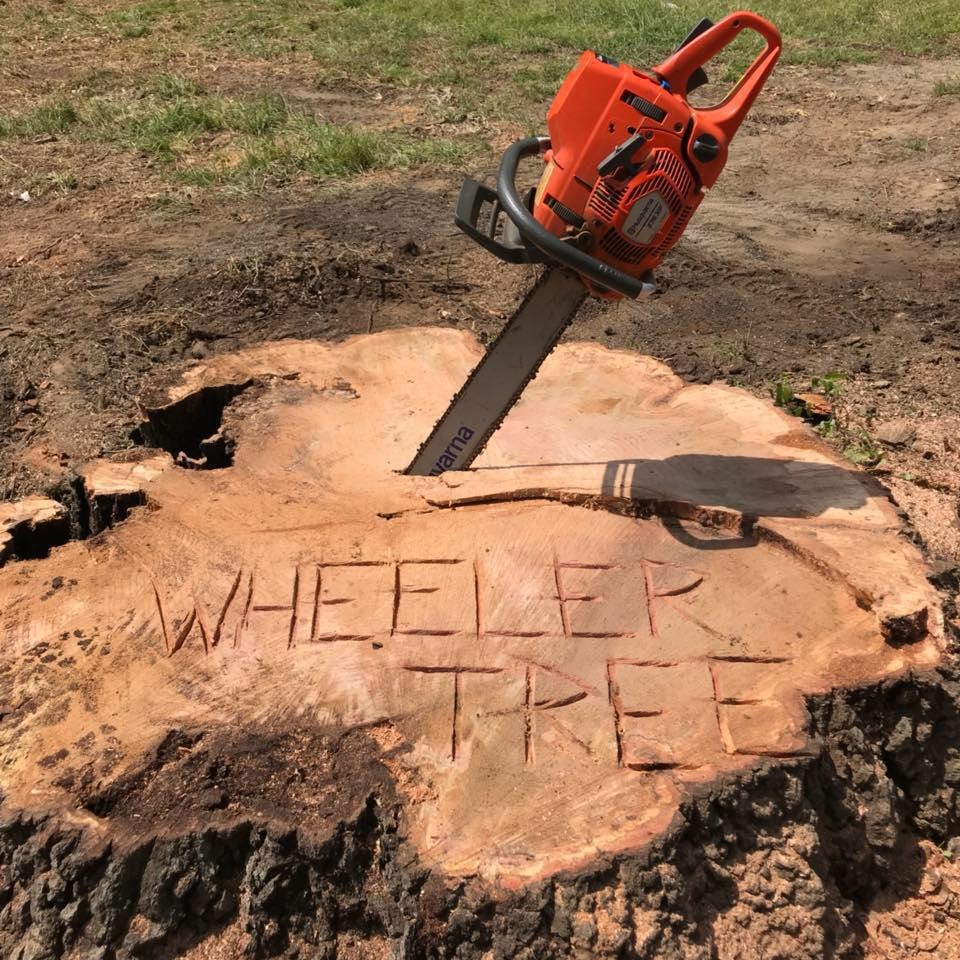 Wheeler Tree Service Logo