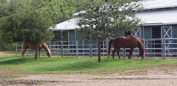 Images La Bota Ranch Equestrian Center