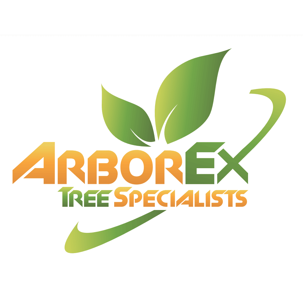 Arborex Tree Specialists Ltd Logo