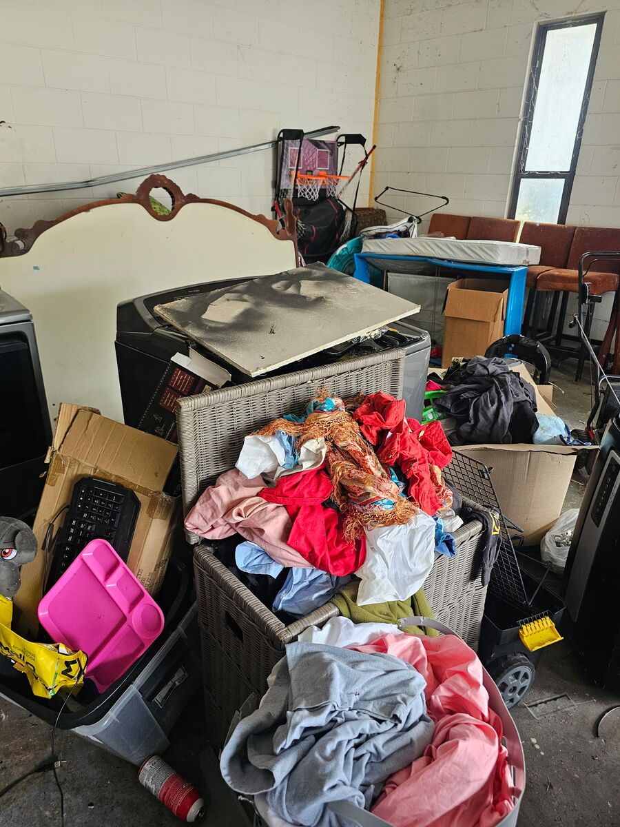 Will's Total Junk Solution Image