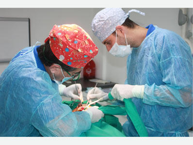 Images Clínica Dental D.G.C
