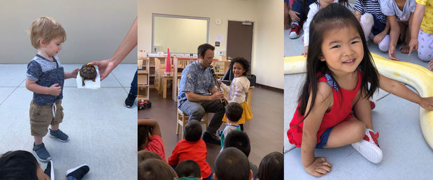 Images Irvine Montessori School