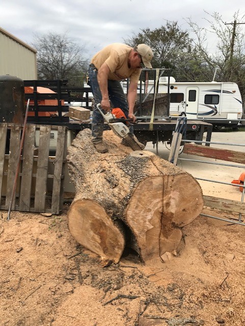 Giraffe Tree Service- Logo