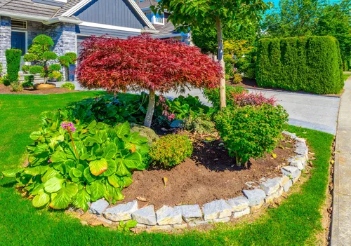 Abarca Landscape Image