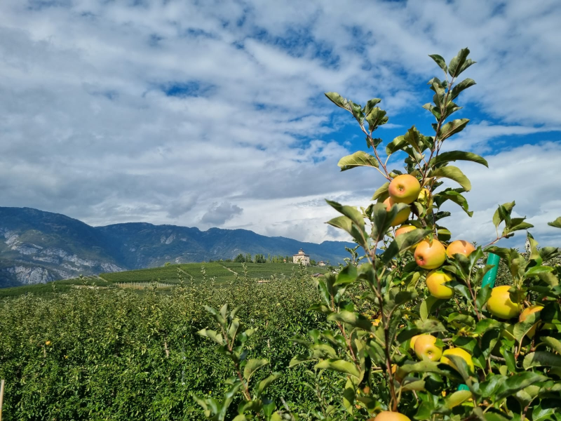 Images Il Meglio Del Meglio