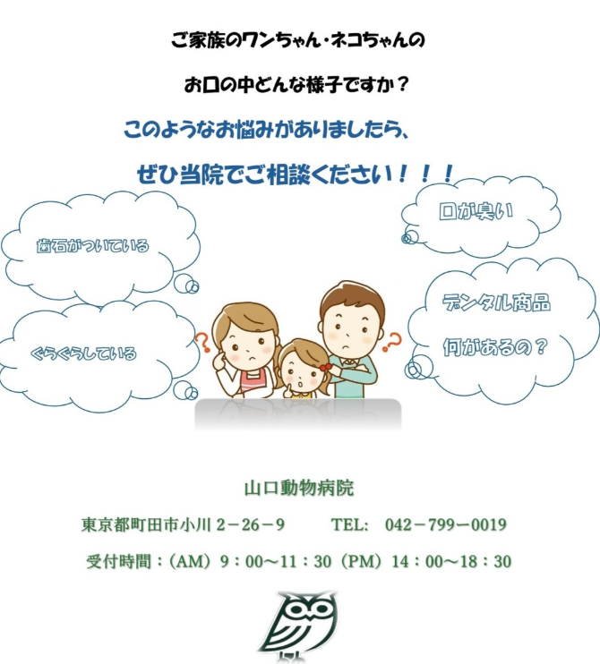 Images 山口動物病院