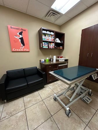 Images VCA Lakewood Animal Hospital