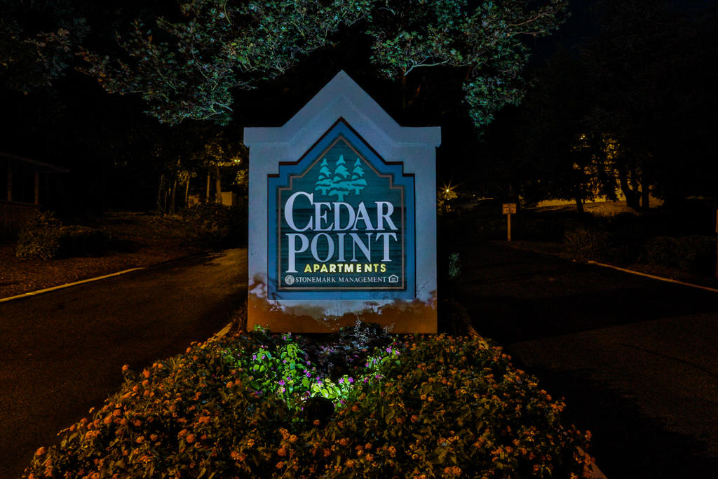 Cedar Point Photo