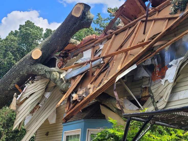 Paul's Tree Service Image