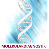 AlphaScience GmbH, Hauptstrasse 54 in Riedstadt