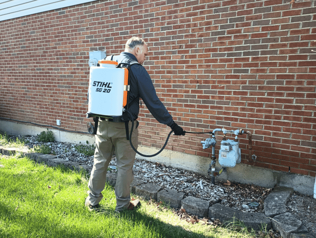 Images Aim Pest Solutions