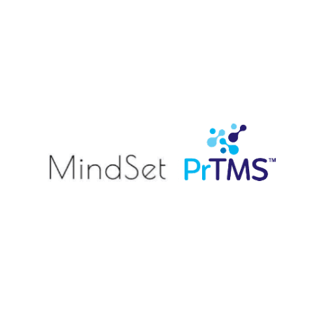 MindSet