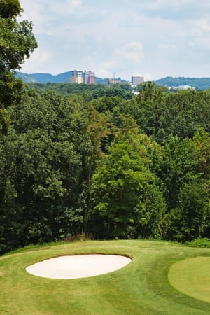 Images Crowne Plaza Resort Asheville by IHG