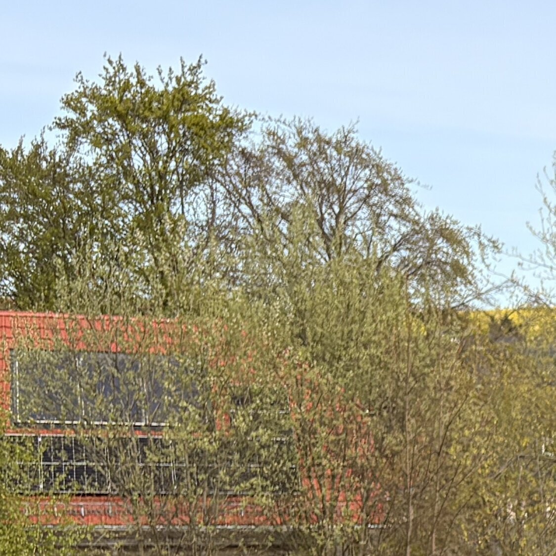 André Koch Dienstleistungsservice, Poisentalstraße 130 in Freital