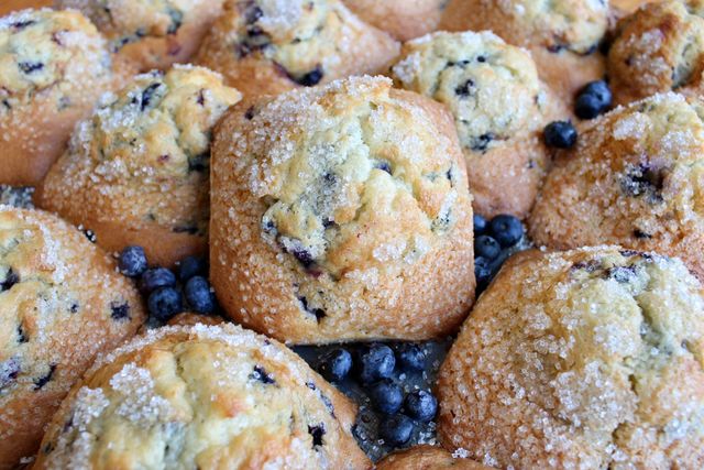 Images The Blueberry Muffin