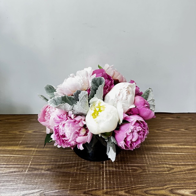Images Jane's Roses & Flowers