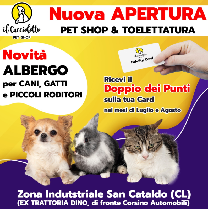 Images Il Cucciolotto Pet Shop e toelettatura
