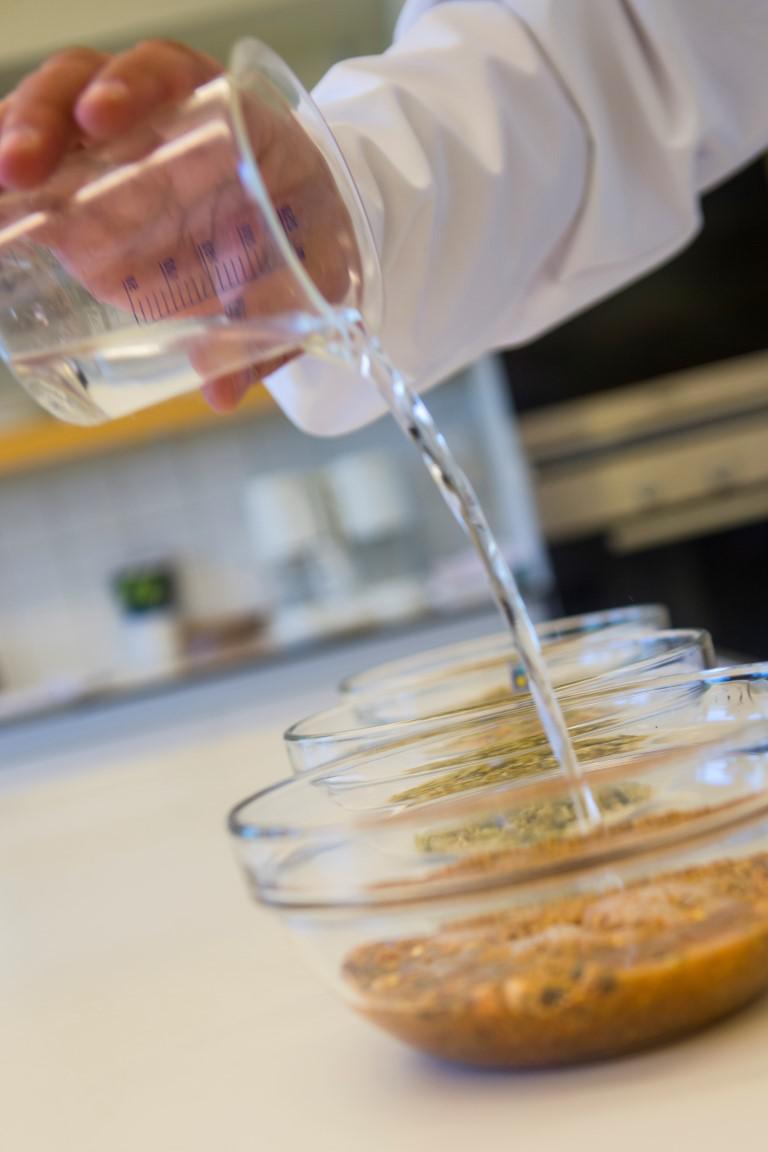 Caldic Ingredients Deutschland GmbH, Am Karlshof 10 in Düsseldorf