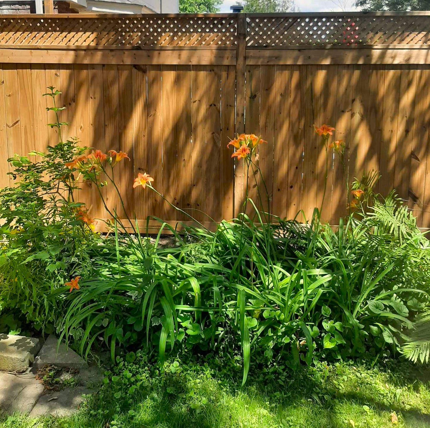 Images Rejuvenation Renovations