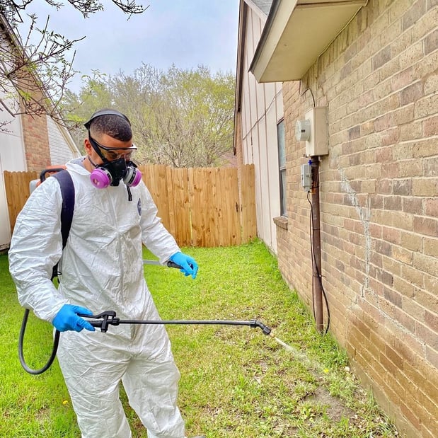 Images Brady Pest Control
