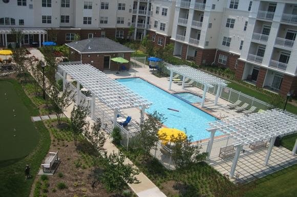 Aerial View of Swimming Pool The Marque Apartments Gainesville (888)308-1229