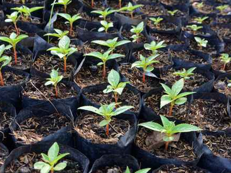 Images agri.com.