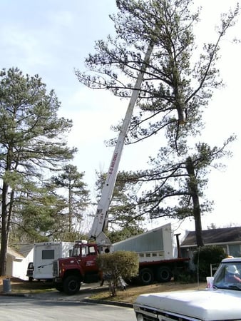 Images Linander's Tree Service LLC