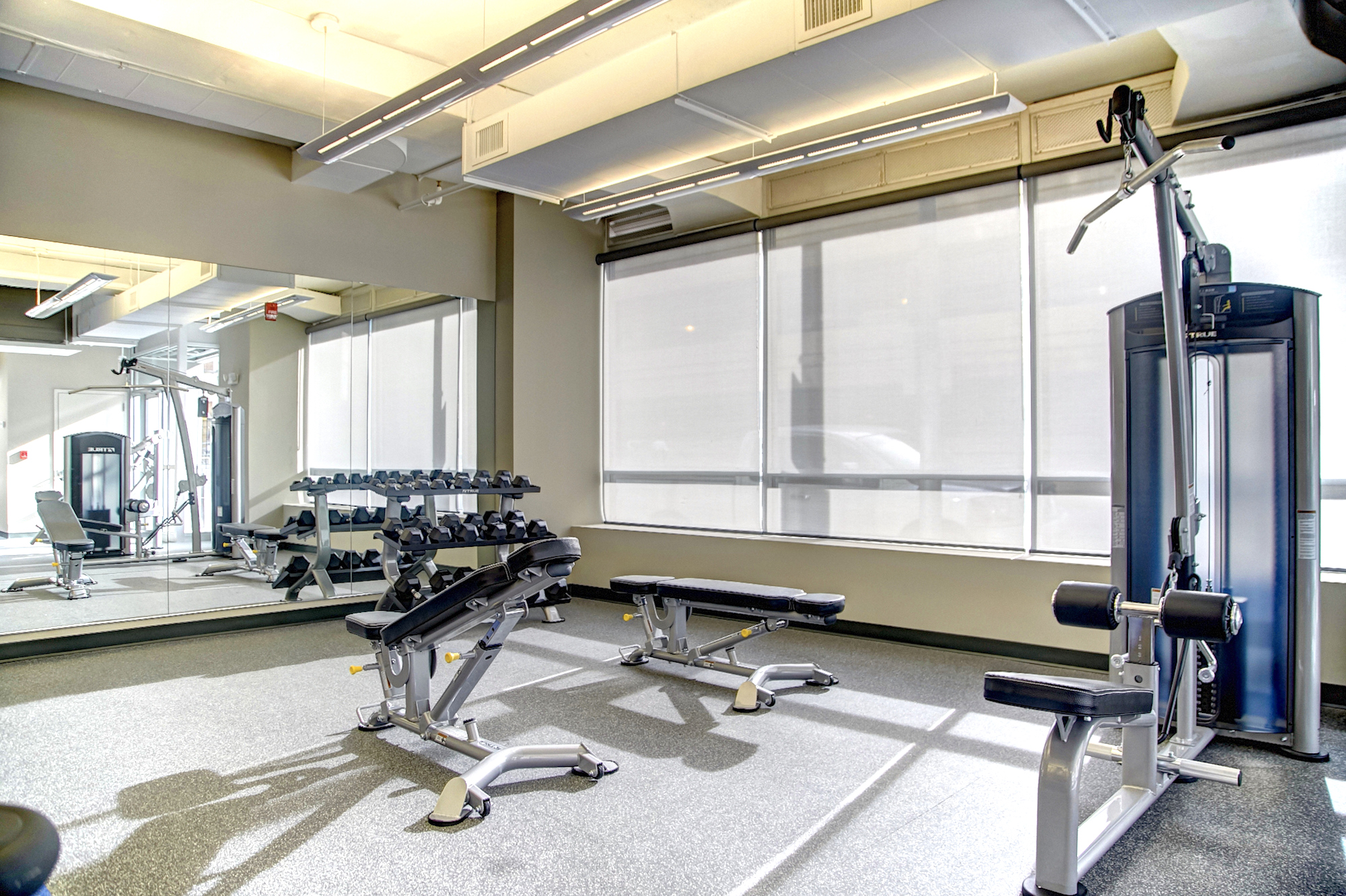 A gym with a variety of exercise equipment 