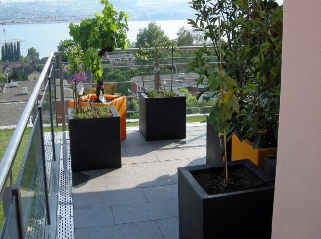 Gärtnerei Balzer AG, Hofenstrasse 22 in Männedorf