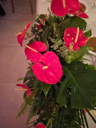 Images Az Catering DMV