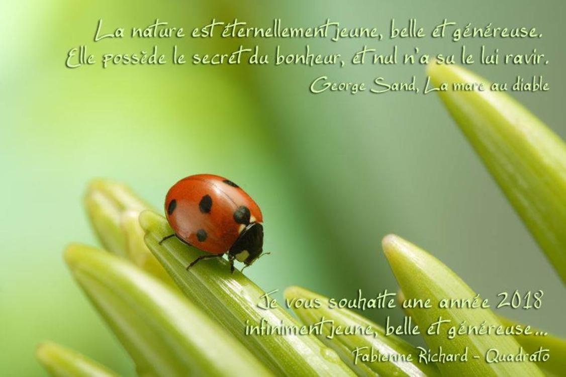 Fotos - Equilibre Naturel par Fabienne Richard - 2