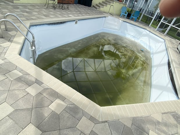 Images Paradise Palm Pools Inc