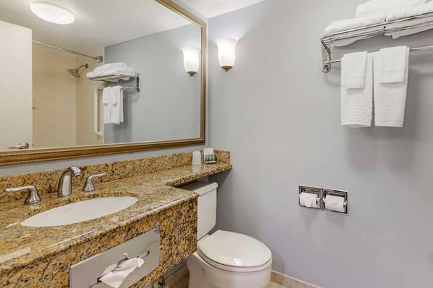 Images Best Western Hartford Hotel & Suites