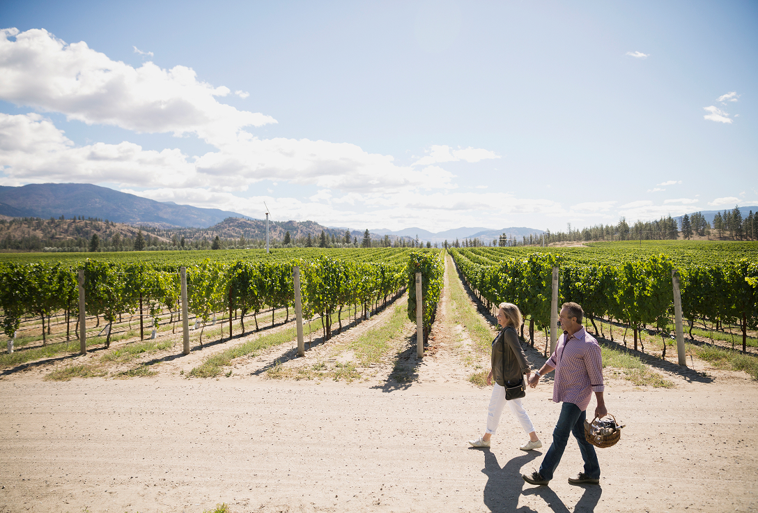 A couple walks hand in hand along a path beside a vineyard under a bright blue sky with scattered clouds. They are carrying a wicker basket, surrounded by lush green rows of grapevines and distant mountains.