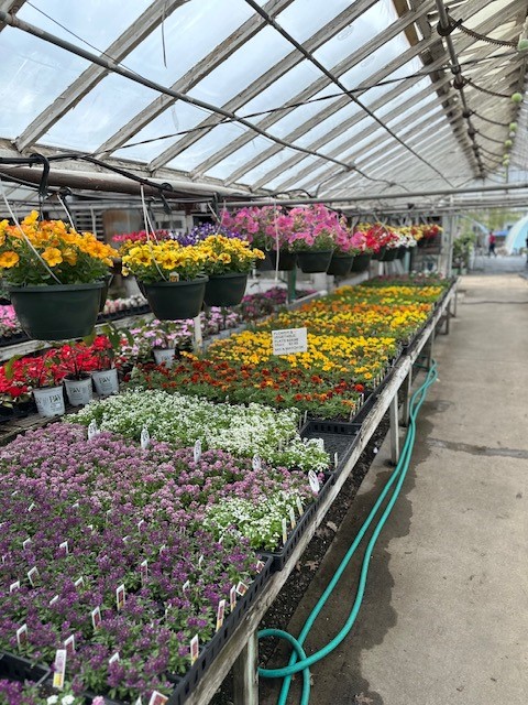 Images Puritas Nursery & Garden Center