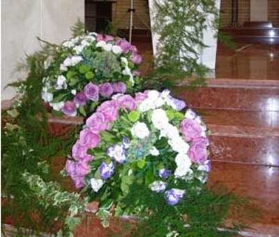 Images Piante e Fiori Torresi