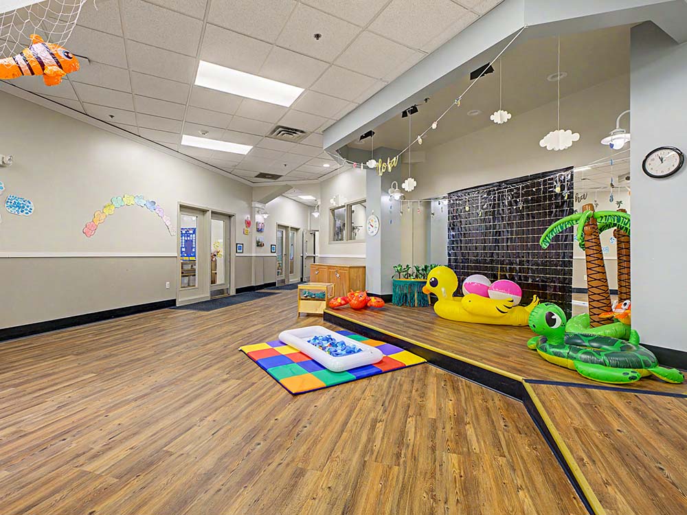 Gymnasium/Play Area