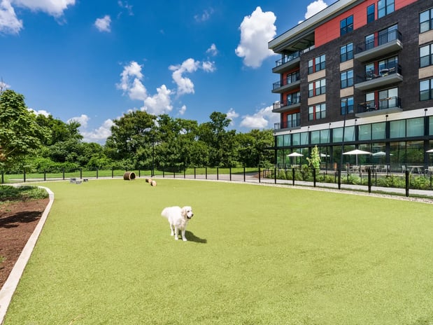 Images Modera Riverview