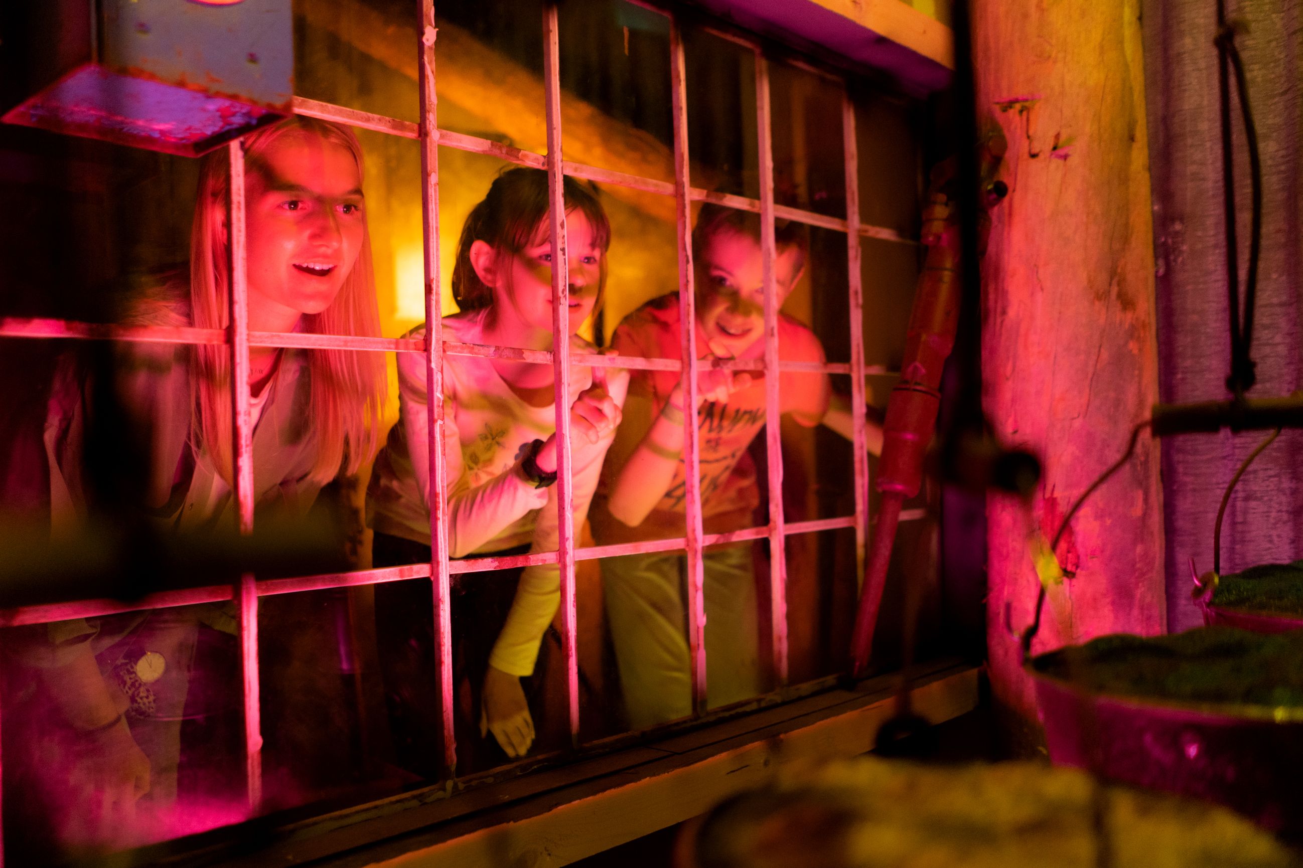 Bilder Boda Borg Zürich