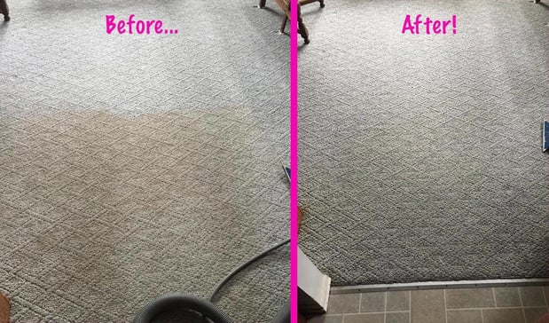 Images Jake's 5 Star Carpet & Upholstery Cleaning