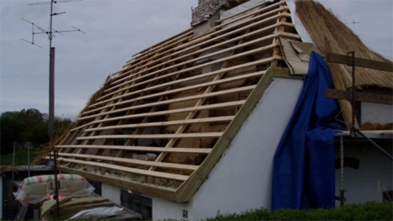 Images Nordlangelands Tækkemand