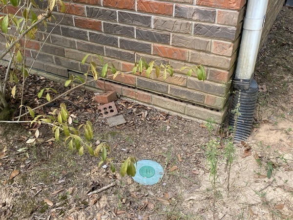 Images Ox Foundation Solutions