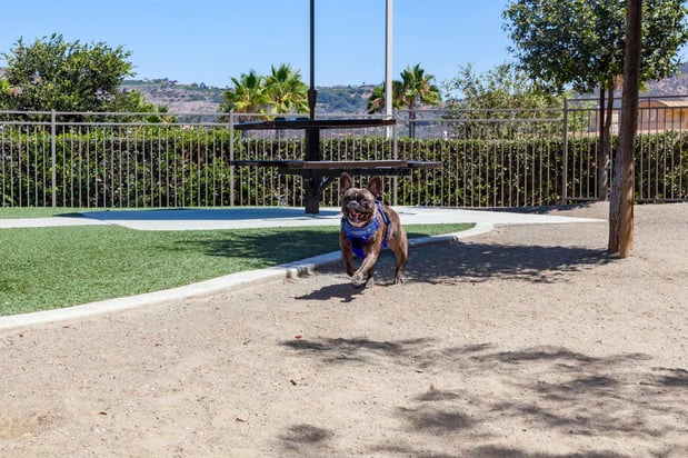 Images Camden Old Creek Apartments