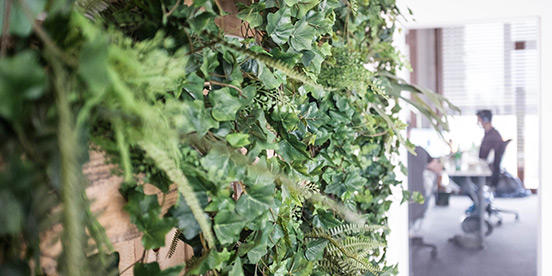 onacy GmbH, Martin-Luther-King Weg 30 in Münster