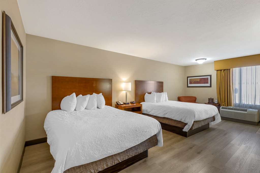 Two Queen - Pet Friendly