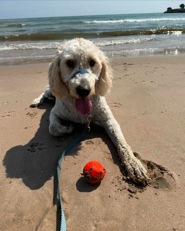 Images Todd Glover - State Farm Insurance Agent