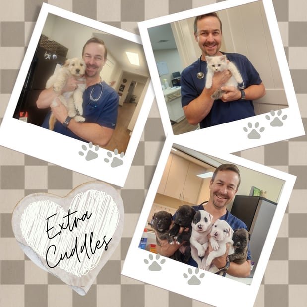 Images Gregory Vet Clinic