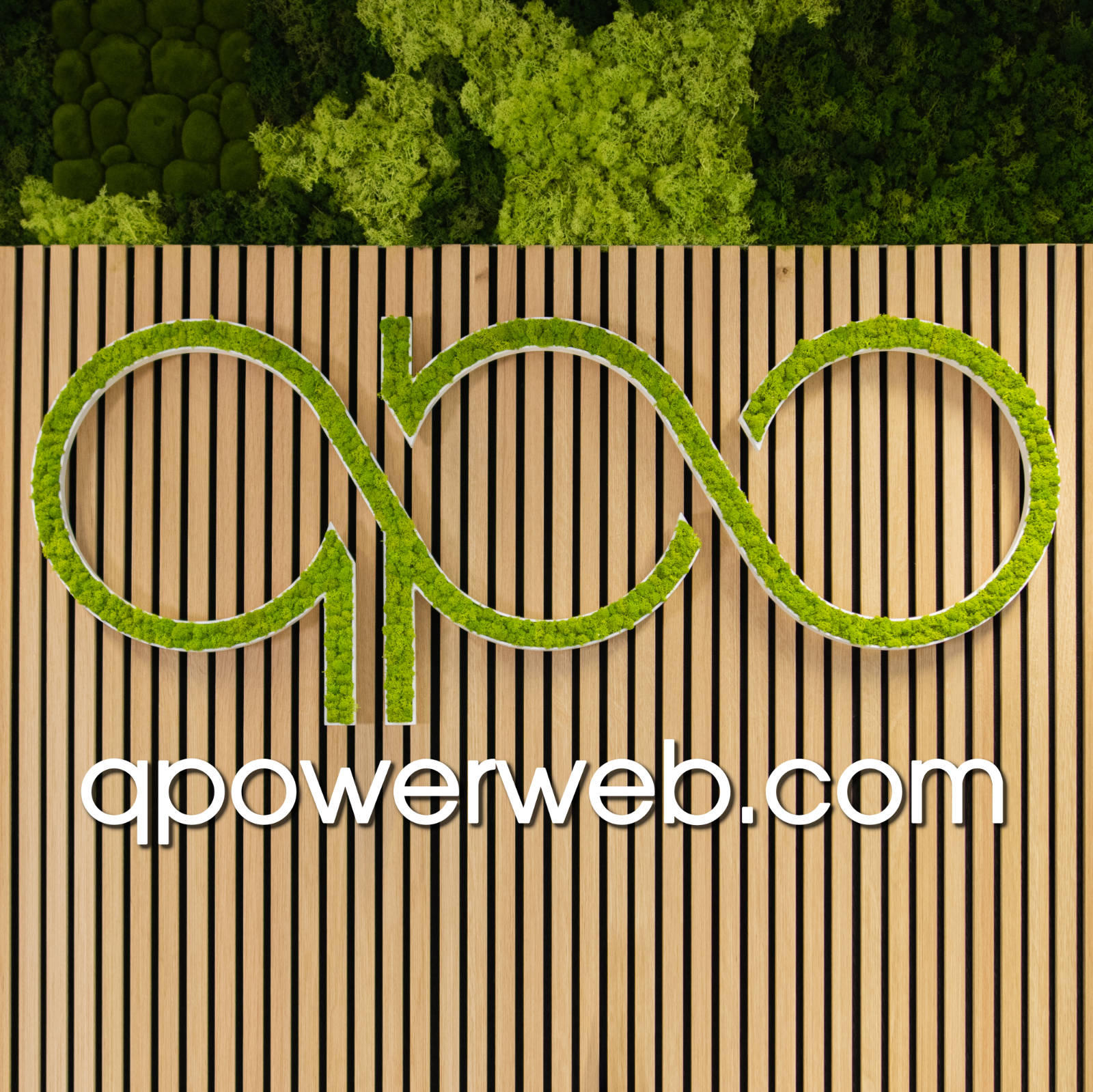qpowerweb.com Webdesign- & Online Marketing Agentur Hannover, Tiergartenstraße 105 in Hannover