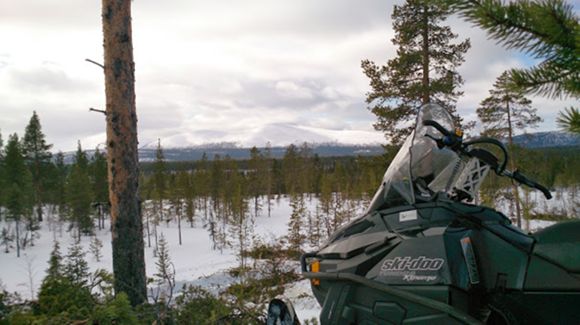 Images Enontekiön Yhteismetsä