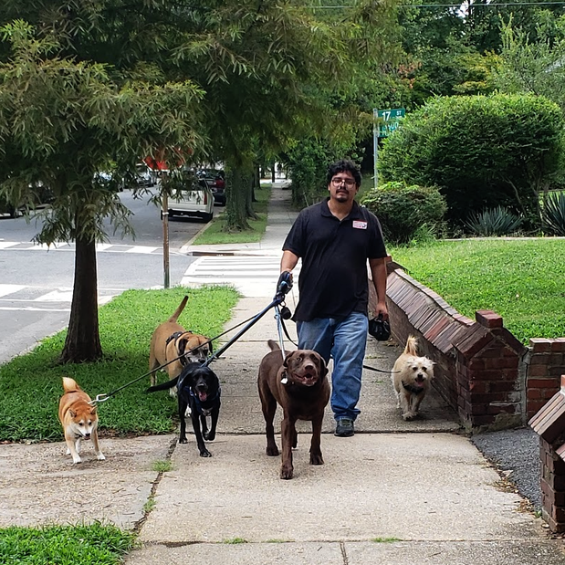 Images Danny's Pet Care LLC